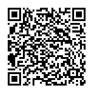我这段时间花费了巨大的代价从一位主宰的手里面购买了一件宝物二维码生成