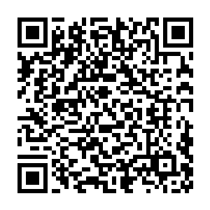 我这衣服可是专门在英伦最出名的服装设计大师米兰尔那里设计的二维码生成