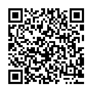 我这还不是希望你的形象能在镜头里出现的完美再完美一些吗二维码生成