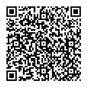 我连个能说话的人都没有了……我其实一直希望你是我的女儿……我收你的钱是想等你结婚时给你当嫁妆的……二维码生成