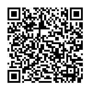 我遇到的这几个大家族都出了像你这种蛮横不讲理且极度嚣张又自以为是的人二维码生成