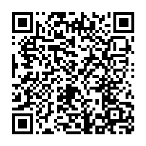 我那奶奶一把捉着我右手从那个做成丑娃娃嘴样的罐子口塞了进去二维码生成