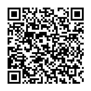 我都在考虑是不是可以先把我们市委市政府大楼拿来质押甚至卖掉二维码生成