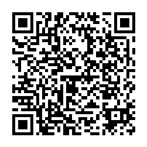 我都无法将亲手制造的超巨型憎恶缝合怪和眼前的小侏儒联系到一起二维码生成