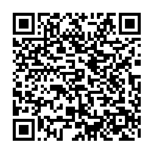 我醒来之后我的第一件事便是想要先将这神葬之棺放入九转轮回大阵之中二维码生成