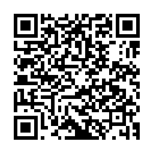我长长地叹了口气上下打量了他几眼然后神识覆盖住他进行查探二维码生成