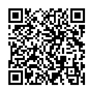我需要的是华人在东南亚遍地开花和掌握住东南亚丰富的资源二维码生成