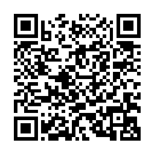 或再过百万年这种本源冰封还真会和外域一样传导到整片黑水二维码生成