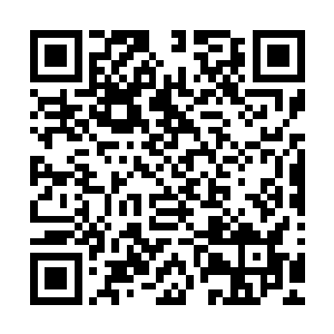 或思想境界总是刚好低于你们……或者满足其他各类预设条件二维码生成