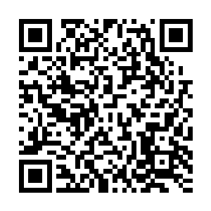 或是躲在安全屋里反复刷技能……这样导致的结果自然是被传送二维码生成