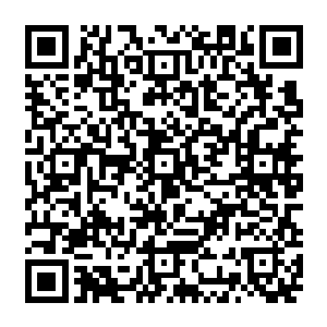或者是击杀过程的难易等因素似乎都会影响到血脉之果能收获到的血脉能量的点数二维码生成