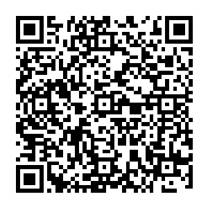 或者是甚至先动手清除障碍的话……那么现在……自己恐怕早已经稳稳的躺在了地下二维码生成
