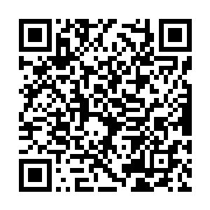 或者是阿墨的母亲在怀着阿墨的时候被人下了毒素二维码生成