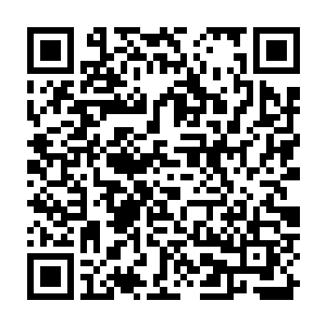 或者狐狸精主动爬上他们的床……然后在完全享用了美色盛宴后以读书人的高贵二维码生成