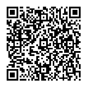 或者说他们不是没引起足够的重视而是压根就是有意把这个案子重新发回原判地重审二维码生成