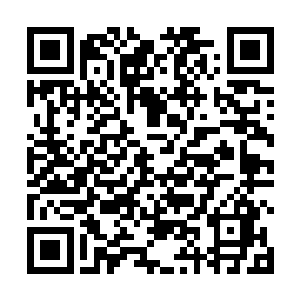 或者说实在龙家族地得到了很是重大的消息要和他说呢二维码生成