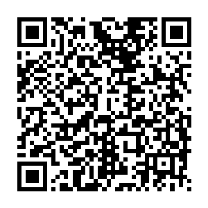 或者说是梓箐的动作超越了以前原主留给他的事事都仰他鼻息印象二维码生成