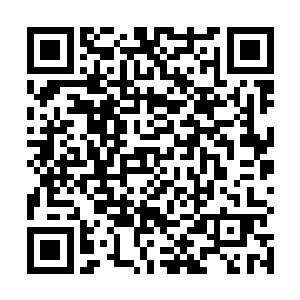 或许他以炼虚后期的实力根本不用太过担心杨晨和赵羽二维码生成