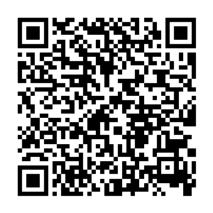 或许他们当初根本就不该收养我――他们为什么不收养一个同种族的地球婴儿呢二维码生成