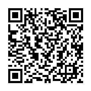 或许他已经猜到杨晨和羽已经成为了这个世界的新神二维码生成