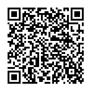 或许住一起她有无数办法让她比现在更痛苦十倍百倍……但是想到小艾二维码生成