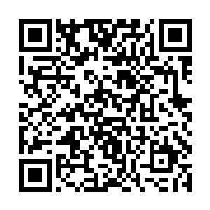 或许你会认为现在的叶家想要灭掉你们轩辕世家的话二维码生成