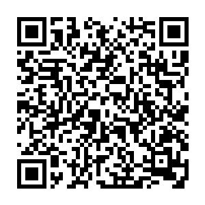 或许你比他们更加坚强一些忍耐的时间更久一些――最终还是会告诉我真相二维码生成