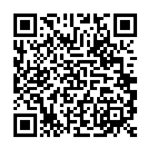 或许你走不出……但……那或许是唯一一条丹道的通天之路……二维码生成