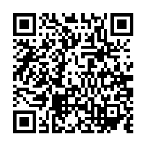 或许修罗族对于本身就属于修罗族的力量有着特殊的理解二维码生成