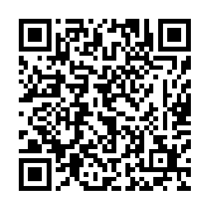 或许她们不会在这样短的时间内将这么多的东西都检测完毕二维码生成