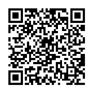 或许对于他而言怜月不过是一只稍大一点的蝼蚁罢了二维码生成