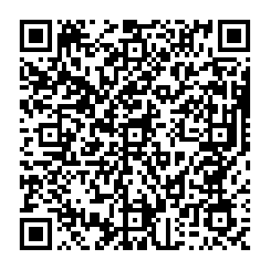 或许就不会将文森特和六大家族的大宗师级高手全部灭杀了……自然也就没有这么多的收获了二维码生成