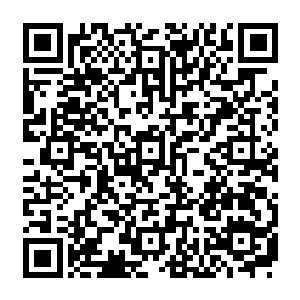 或许我之前经纪人生涯的失败和我看人的眼光确实有很大的关系……但这一次一定不是二维码生成