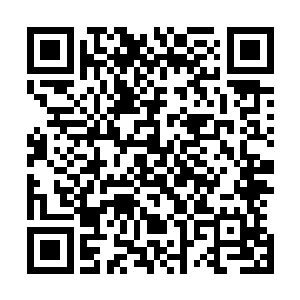 或许是从凌霜生气皱眉的眉宇间看到了些许曾经白焰的轮廓二维码生成