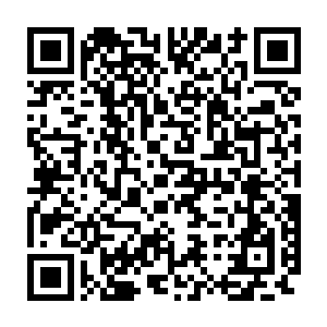 或许是从前格森王国的某位前辈和秦皇国的护国国师有一些交集吧二维码生成