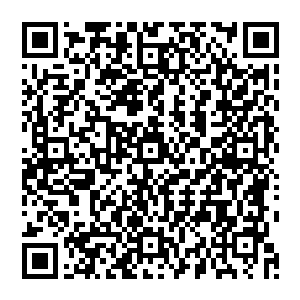 或许是双方在资源和计算力分配上的分歧和争执盘古族希望将更多资源投入整个文明的全面净化二维码生成