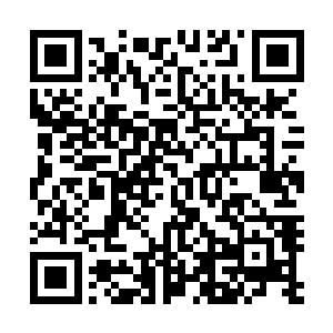 或许是因为它们无法感受到陈凌身上不可抗拒的强者气息吧二维码生成