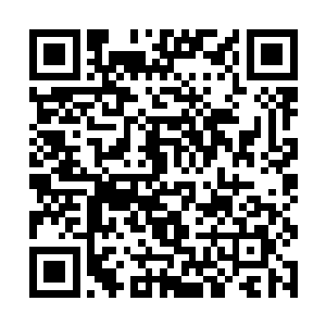 或许是某种神秘病毒的肆虐……长达几十万年的冬眠二维码生成