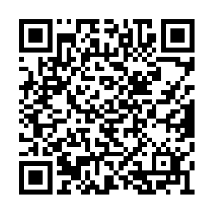 或许现在整个洛卡利亚星就已经是另一番模样了二维码生成