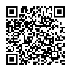 或许甚至都敢单独去猎杀野兽……但是面对这种可怕的食人蚂二维码生成