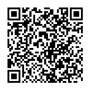 或许还能让秦方稍稍忌惮一些的……可现在只有一个人冲出来攻击秦方二维码生成