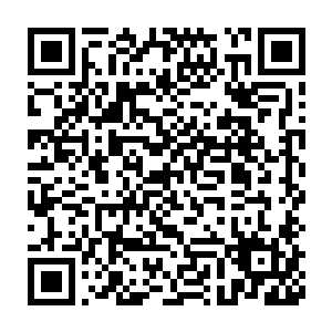 或许这时候他们两人都很后悔为什么出门的时候没有带上自己的武器二维码生成