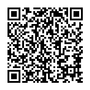 战士们隐隐对尸王龙且产生了一份敬意--战士们的心思都很简单二维码生成