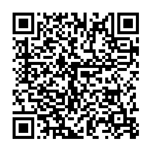 战斗型植物人脑内的战斗记忆碎片……通过晶脑一次次优化和凝聚二维码生成