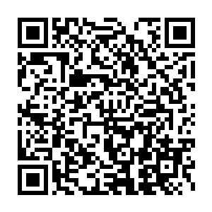 战斗经验极为丰富的一众强者们也绝对不会错过一个这么好的机会二维码生成