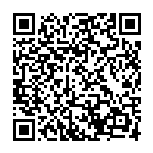 战狼谷三方势力一次性又给了秦宇五十万斤灵石作为发展下线抽取的提成二维码生成