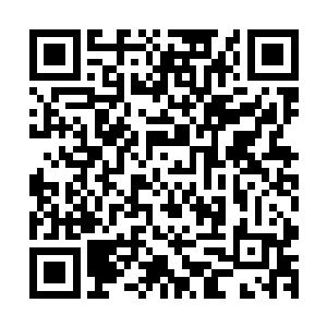 战神一号选择完全正确・原地不动的被动防御堪堪能完成防御二维码生成