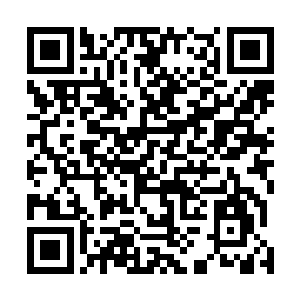 戚家的几个老祖宗才吩咐戚如飞带着戚妃花一起离开戚家二维码生成