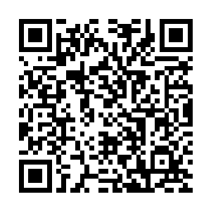戴到秦方的手上跟戴在达伦大祭司的手上是两种完全不同的样子二维码生成