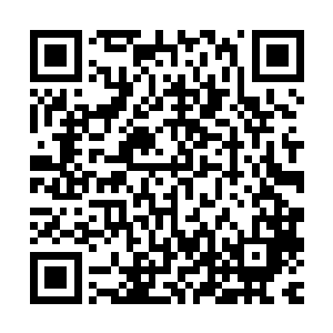 戴维德・罗斯柴尔德心里越是期待盖伊・罗斯柴尔德日后的表现二维码生成